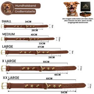 dog belt info graphics new 1